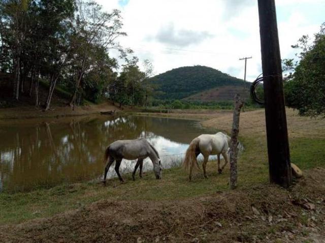 SÍTIO A VENDA COM 5 ALQUEIRES EM MIRACATU SP