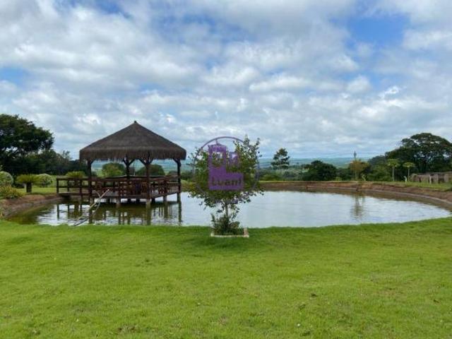 Sitio a venda com 6 hectares em Jaguapita