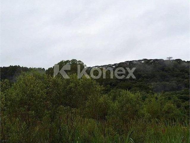 Sítio à venda com 72600 m² em Centro, Camanducaia