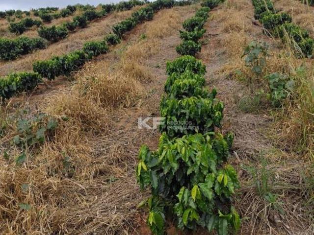 Sítio à venda com área de plantio no Jardim Europa II