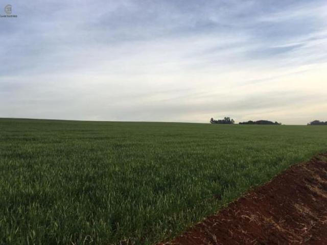 Sítio à venda em Marilândia do Sul, Centro, com 200 m²