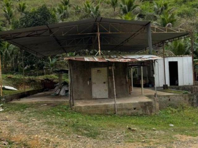SÍTIO À VENDA EM MIRACATU, SP COD: 6234 F: 11 97302 9229 CESAR
