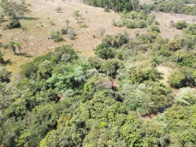 SITIO A VENDA EM MONTE CARMELO