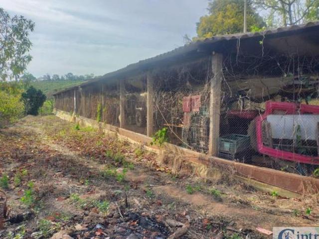 Sítio à venda em Amparo SP 13,30 hectares Bairro Sertãozinho, Região do Circuito das Águas