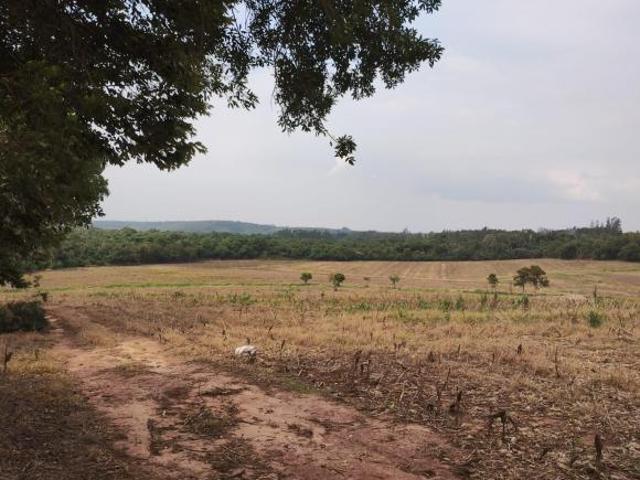 SÍTIO A VENDA EM ANGATUBA SP Área Total: 32,91 Hectares ou 13,6 Alqueires 10 Alqueires de Aprove