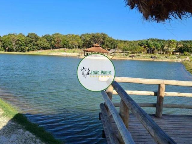 Sítio a venda em Bela Vista de Goiás GO 25 Hectares Benfeitorias completas