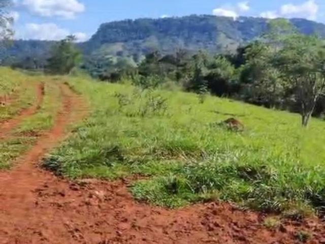 SÍTIO À VENDA EM CRISTAIS PAULISTA SP
