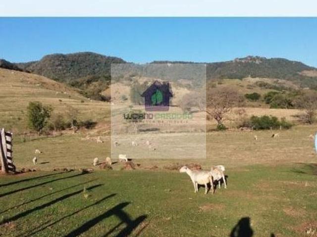 Sítio à Venda em Fartura: 3 Dormitórios e 51.930 m²