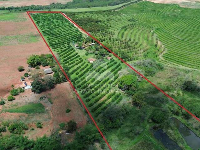 SITIO À VENDA EM ITAPIRA / SANTO ANTONIO DE POSSE