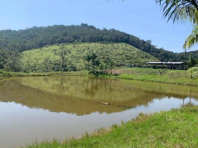 Sítio à Venda em Juquiá COD: 5811 F: 11 97302 9229 CESAR