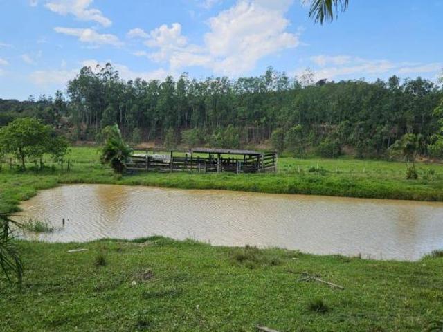 SÍTIO À VENDA EM JUQUIÁ/SP 9,9 ALQUEIRES* COD: 6233 F: 11 97302 9229 CESAR