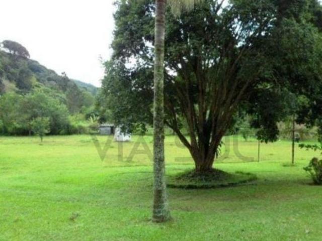 Sítio à venda em Juquitiba  Sitio em Juquitiba/SP