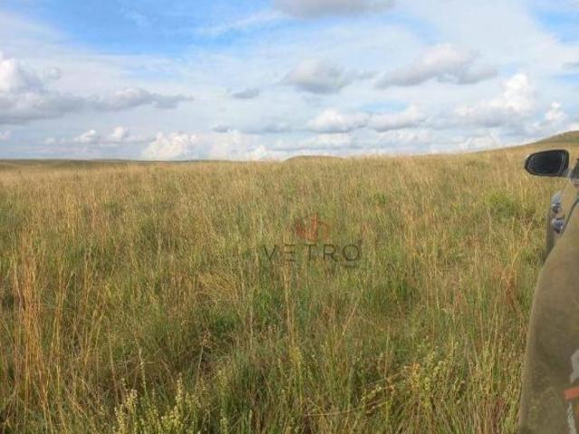Sítio à Venda em Lajeado Grande, São Francisco de Paula, com 18 Hectares!