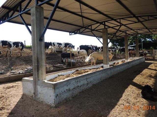 sítio à venda em Pacheco