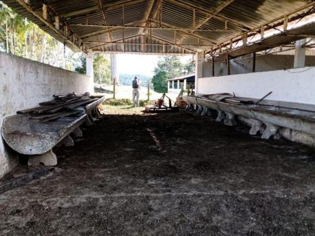 SÍTIO À VENDA EM PARIQUERA AÇU,SP* COD: 6187 F: 11 97302 9229 CESAR
