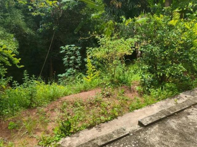 SÍTIO À VENDA EM PIEDADE DOS GERAIS/MG
