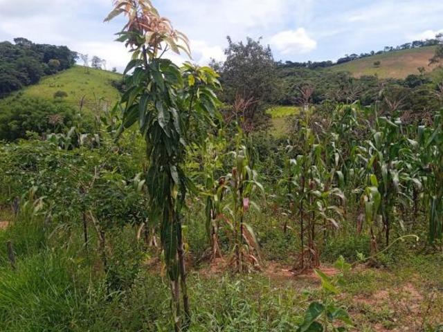 SÍTIO À VENDA EM PIEDADE DOS GERAIS/MG