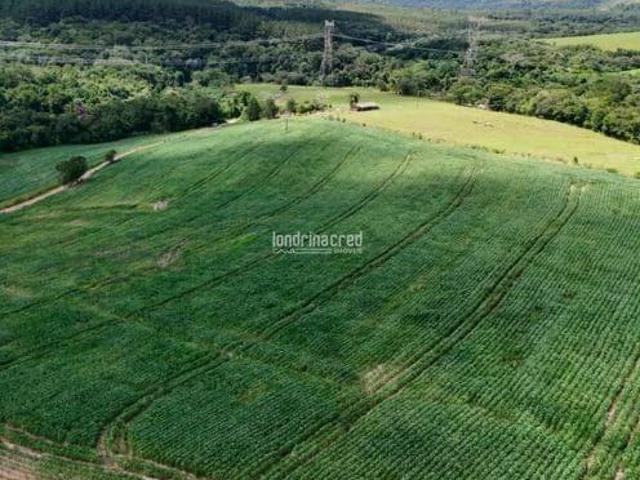 Sítio à Venda em Rural, Arapoti PR