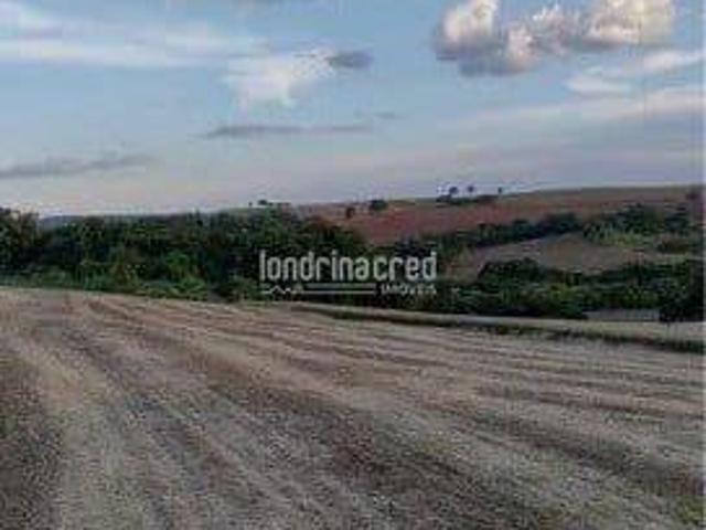 Sítio à Venda em Rural, Uraí PR