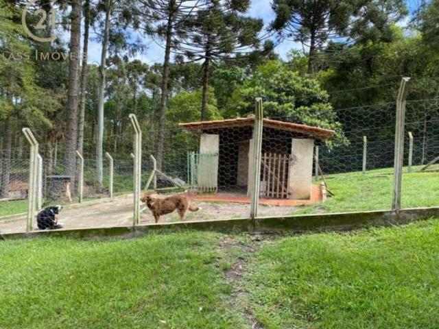 Sítio à venda em São Jerônimo da Serra, Centro, com 3 quartos, com 200 m²