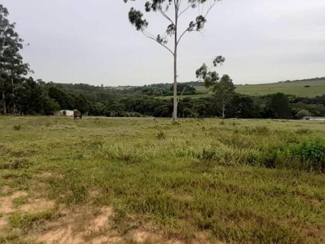 Sítio a venda em Sarapuí 02 alqueires, bom acesso 08km da Raposo Tavares, ótima topografia, mina e