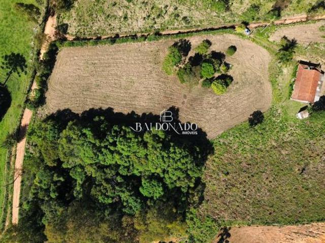 Sítio à Venda em Toledo MG 1 Alqueire Paulista 24.200 m
