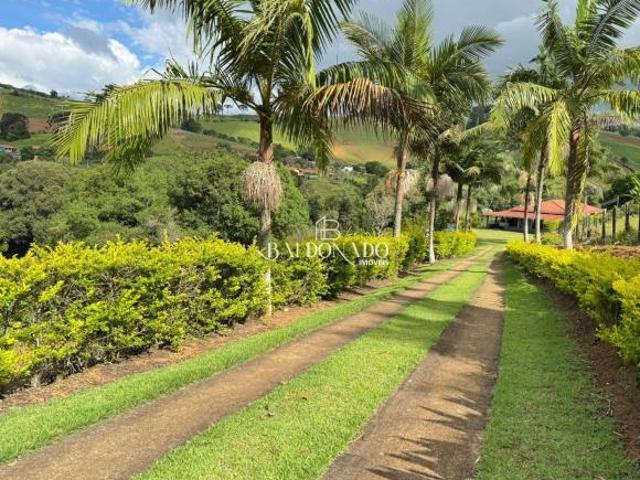Sitio a Venda em Toledo Mg Terreno de 15.000m² com 4 Dormitórios, Piscina 4x9