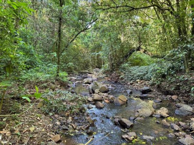 Sítio à venda em Três Coroas RS, Bairro Canastra Baixa, 28 hectares de área! Venha conferir!