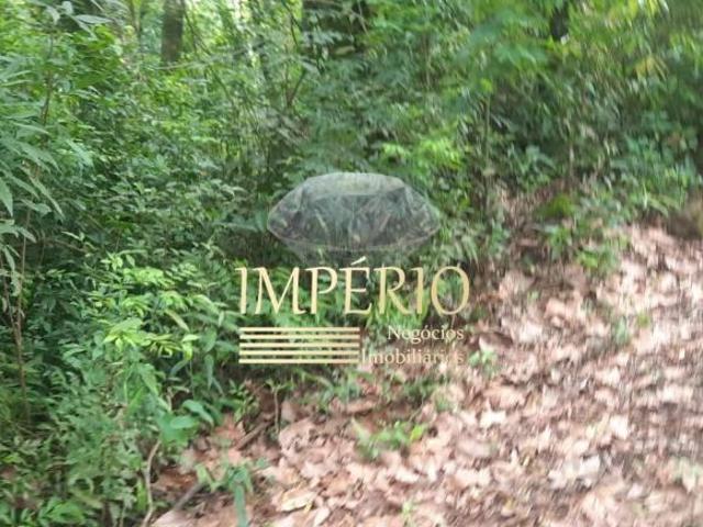 Sítio à venda em Três Coroas RS, bairro Figueira, com 2 hectares de área!