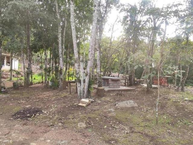 Sitio a venda em Tres Forquilhas rs