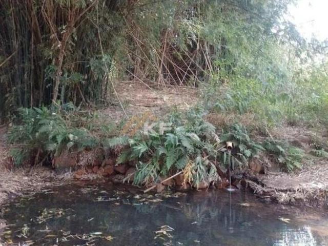 Sítio à venda entre Cruz das Posses e Sertãozinho/SP