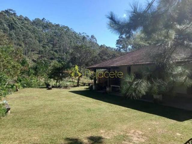 Sítio à venda, Limoeiro, Natividade da Serra, SP