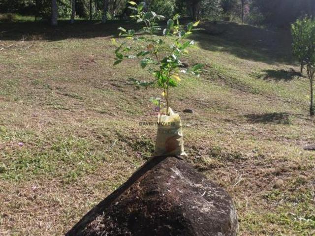 Sitio à Venda Porteira Fechada Pouso Alto Natividade da Serra