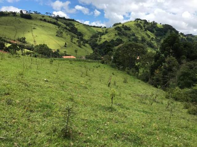 Sítio à Venda | Potencial para Plantio, Pecuária ou Investimento em Turismo