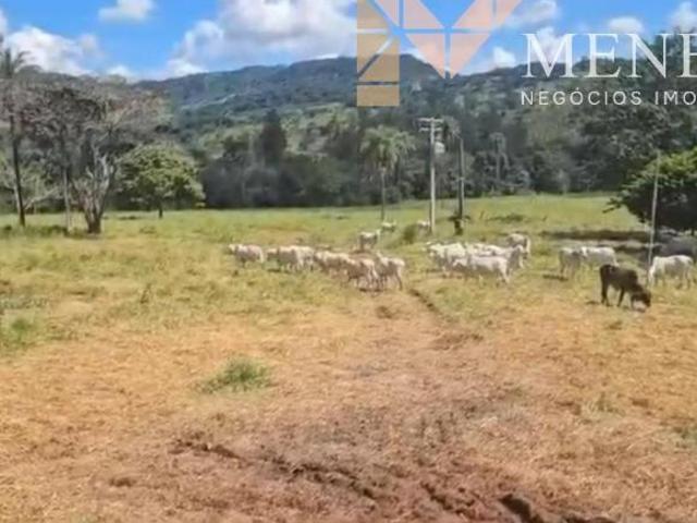 Sítio à venda proxima a rodovia de Cristais Paulista