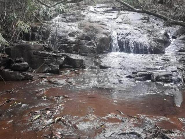 Sitio a venda São Tomás de Aquino/MG