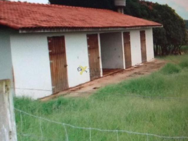 Sítio à venda Sarapuí SP