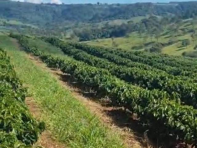 Sítio à venda sentido Ibiraci