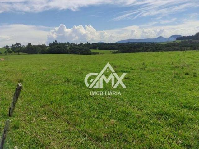 Sítio à venda, sitio de 23 por R$ 3.500.000 Rural Sapopema/PR
