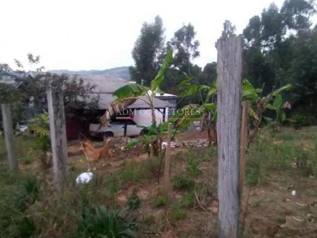 Sítio à venda, taquara, Entrepelado, RS