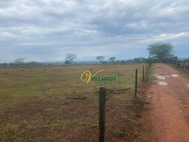 Sítio à venda, 176907 m² por R$ 4.500.000,00 Fazenda São Pedro Zona Rural São José do Rio Pret