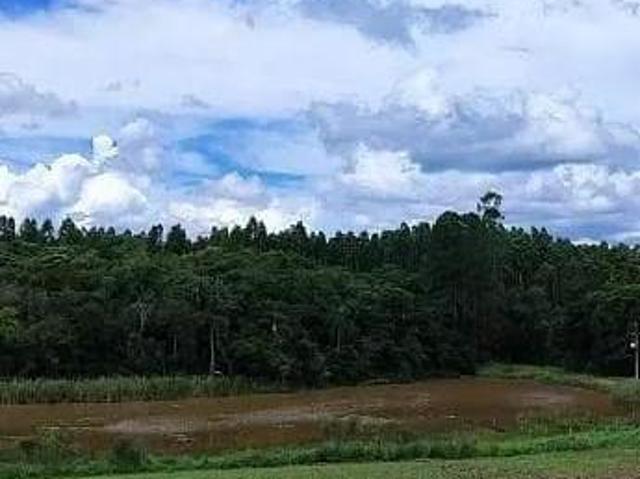 Sítio à venda, 1815000 m² por R$ 12.000.000 Vila Sao Joao São Miguel Arcanjo/SP