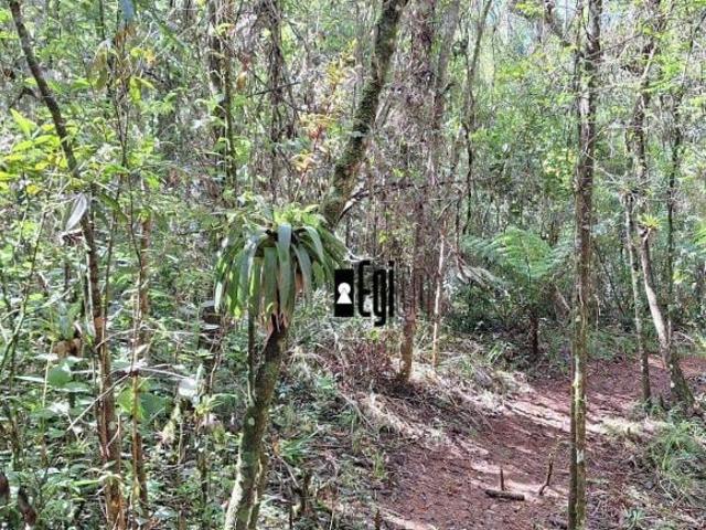 Sítio à venda, 240000 m² por R$ 950.000,00 Zona Rural Barbacena/MG