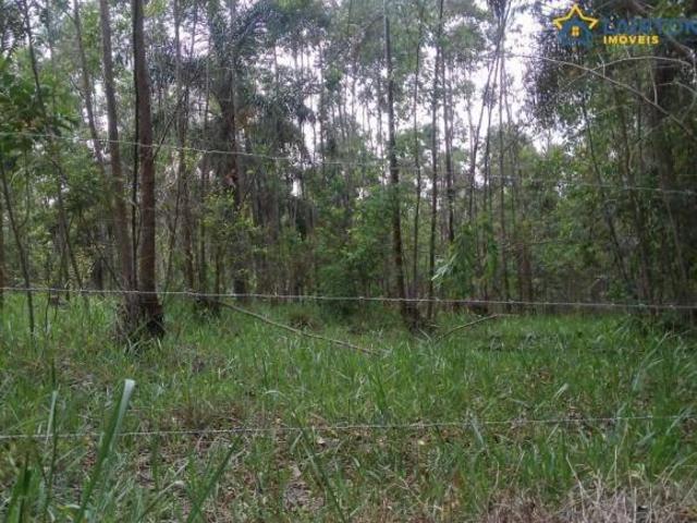 Sítio à venda, 20000 m² por R$ 1.000.000,00 Guaripocaba Bragança Paulista/SP