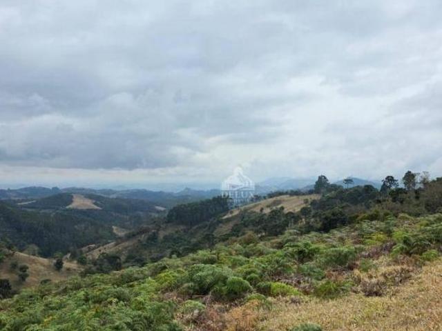Sítio à venda, 20000 m² por R$ 750.000 Taboão km 63 Cunha/SP