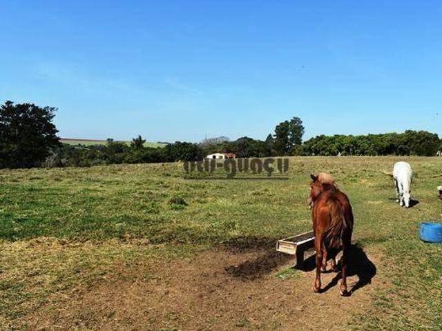 Sítio à venda, 217800 m² por R$ 5.500.000,00 Bananal do Avecuia Porto Feliz/SP