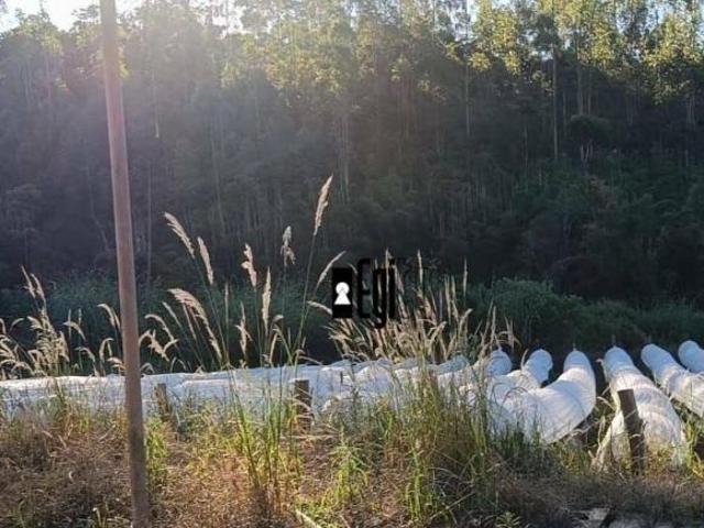 Sítio à venda, 371000 m² por R$ 1.400.000,00 Zona Rural Santos Dumont/MG