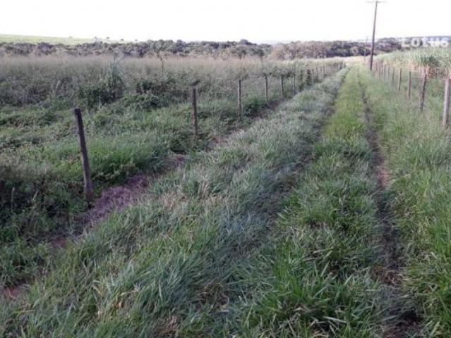 Sítio à venda, 338800 m² por R$ 2.456.000,00 Descalvado Descalvado/SP