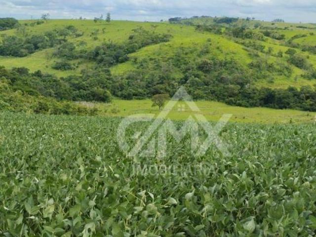 Sítio à venda, 3,7 alqueires por R$ 880.000 Rural Uraí/Paraná