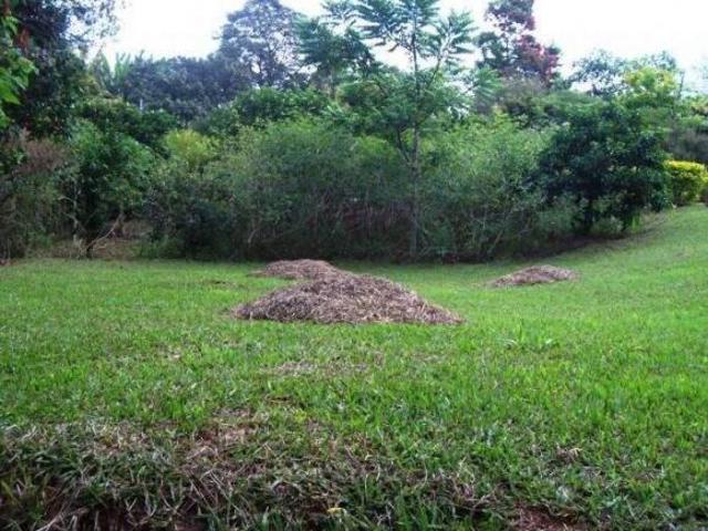 Sítio à venda, 3 quartos, 1 suíte, Quinta Dos Ipês São José Da Lapa/MG